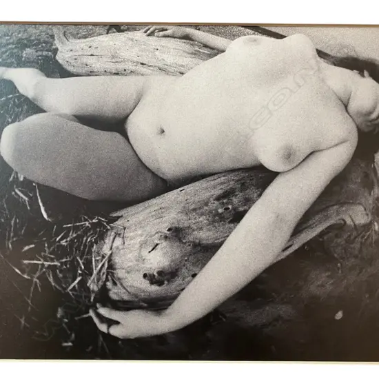 Lawrence Shustak (1926-2003) - Female nude,